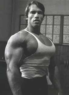 PODKŁADKA POD MYSZ Z Nadrukiem 22x18 cm Arnold Schwarzenegger Tekst Prezent - Podkładki pod mysz - miniaturka - grafika 1