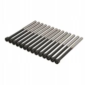 Głowice silnika - REINZ Zestaw śrub głowicy cylindrów REINZ 14-32306-01 - miniaturka - grafika 1