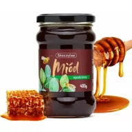 Miód - Skoczylas Miód Naturalny Spadziowy 400 g Skoczylas SKO-029 - miniaturka - grafika 1