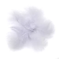 Zabawki kreatywne - Pióra indycze 15 cm 5 szt. - miniaturka - grafika 1