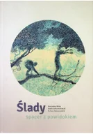 Albumy krajoznawcze - Ślady spacer z powidokiem - miniaturka - grafika 1