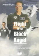 Horror DVD - Czarny anioł (Flight Of Black Angel) - miniaturka - grafika 1