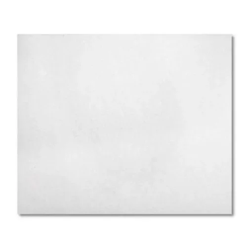 Filtr Wlotowy Zelmer 519.0039