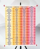 Pomoce naukowe - Plansza- Odmiana angielskich czasowników - miniaturka - grafika 1