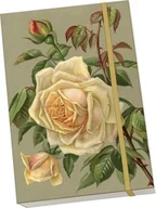 Notesy i bloczki - Notatnik ozdobny A5 STNOTE 142 Żółte róże - miniaturka - grafika 1