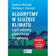 Felietony i reportaże - Algorytmy w służbie klimatu, czyli sekrety globalnego ocieplenia - miniaturka - grafika 1