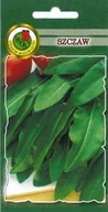 Nasiona i cebule - Szczaw Belwilski 100 g PNOS - miniaturka - grafika 1