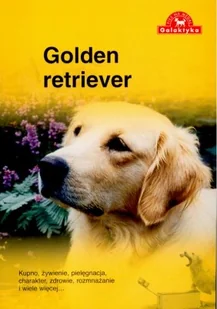 Golden retriever - Poradniki hobbystyczne - miniaturka - grafika 1