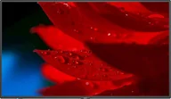 Telewizory - NEC MultiSync MA431 - 43" Czarny - miniaturka - grafika 1
