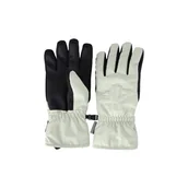 Rękawiczki - Rękawiczki rękawice narciarskie snowboardowe damskie 4F AFGLF160-47S - miniaturka - grafika 1