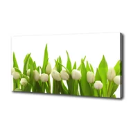 Obrazy i zdjęcia na płótnie - Foto obraz na płótnie Białe tulipany - miniaturka - grafika 1