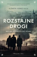Literatura obyczajowa - Rozstajne drogi - miniaturka - grafika 1
