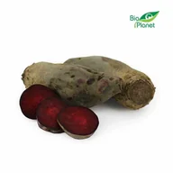 Warzywa świeże i suszone - ŚWIEŻE BURAK PODŁUŻNY ŚWIEŻY BIO (POLSKA) (około 1,00 kg) - miniaturka - grafika 1