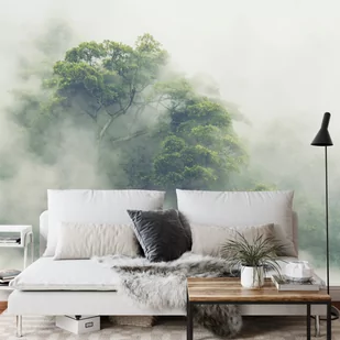 SK Fototapeta Tropical Forest In Japan, Nature Jungle With Green Tree And Fog, Concept Of Zin Therapy Comfortable Freedom Relaxing  emix - Fototapety - miniaturka - grafika 4