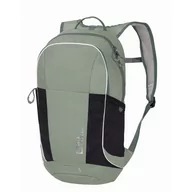 Plecaki szkolne i tornistry - Plecak sportowy dla dziecka Jack Wolfskin MOAB TRAIL mint leaf - ONE SIZE - miniaturka - grafika 1