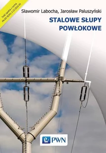 Stalowe słupy powłokowe - E-booki - nauka - miniaturka - grafika 1