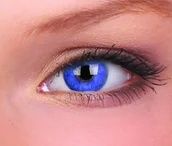 Soczewki kontaktowe - Maxvue Vision Soft Blue 0.0 - miniaturka - grafika 1
