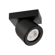 Lampy sufitowe - Italux Sufitowa LAMPA plafon NUORA SPL-2855-1B-BL regulowana OPRAWA metalowy reflektorek czarny SPL-2855-1B-BL - miniaturka - grafika 1