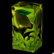 Herbata - Herbapol Herbapol Herbata zielona 40 g (20 x 2,0 g) - miniaturka - grafika 1