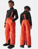 Spodnie narciarskie - 4F SPODNIE NARCIARSKIE DZIECIĘCE CHŁOPIĘCE ZIMOWE - miniaturka - grafika 1