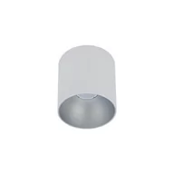 Lampy sufitowe - Nowodvorski Spot LAMPA sufitowa POINT TONE 8220 metalowa OPRAWA tuba downlight biały srebrny 8220 - miniaturka - grafika 1