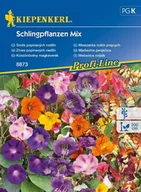 Nasiona i cebule - Kiepenkerl Mieszanka roślin pnących Schlingpflanzen Mix 102357 - miniaturka - grafika 1