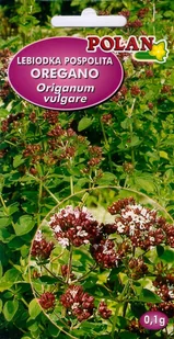 Lebiodka pospolita Oregano 0.1 g POLAN - Nasiona i cebule - miniaturka - grafika 1