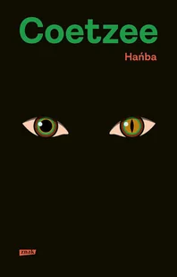 Hańba - Powieści - miniaturka - grafika 1