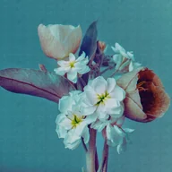 Fototapety - Fototapeta kwiatowy wzór niebieskim,liliowo fioletowymIbiałym - 371 x 280 cm - ONE WALL ONE ROLE - miniaturka - grafika 1