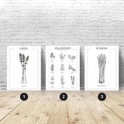 Plakaty - Zestaw 3 plakatów kuchennych z ziołami i przyprawami - miniaturka - grafika 1