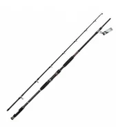 Wędki - Wędki Jaxon Eclatis Cat Fish -500g 2,55 m - miniaturka - grafika 1