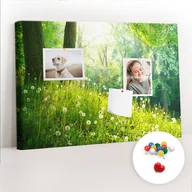 Tablice i flipcharty - Szkolna Tablica korkowa 60x40 cm, Kolorowe Pinezki, wzór Natura wiosenna - miniaturka - grafika 1