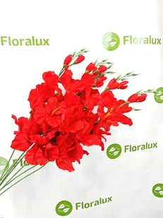 Mieczyk Do Wazonu 12 Szt Kwiat Sztuczny Wyrobowy 70 cm Bukiet Stroik - Sztuczne kwiaty - miniaturka - grafika 1