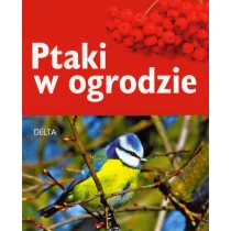 Delta W-Z Oficyna Wydawnicza Ptaki w ogrodzie - Schmid Ulrich - Przewodniki - miniaturka - grafika 1