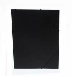 Durable Teczka z gumką PP Pagna A4 seledynowa P2161317 - Teczki i skoroszyty - miniaturka - grafika 1