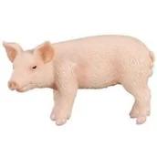 Figurki dla dzieci - Collecta Figurka Prosie stojące 449023 - miniaturka - grafika 1