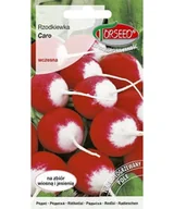 Nasiona i cebule - Nasiona Rzodkiewka Caro 10g - Torseed - miniaturka - grafika 1