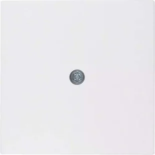 Hager polo Element centralny do przyłącza kablowego i gniazda VDo śnieżnobiały S.1/B.1/B.3/B.7 Glas 10191909 10191909 - Klawisze i ramki - miniaturka - grafika 1