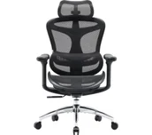 Fotele i krzesła biurowe - Sihoo Doro C300L Biurowy do 125kg Tkanina Czarny - miniaturka - grafika 1