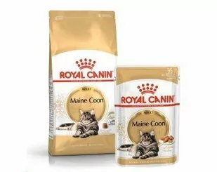 Royal Canin Maine Coon Adult 31 drób 10 kg - Mokra karma dla kotów - miniaturka - grafika 1