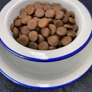 EPM SIEKIERO-MŁOT 3KG - Pozostałe narzędzia ogrodowe - miniaturka - grafika 2