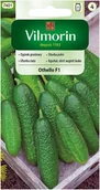 Nasiona i cebule - Ogórek Othello F1 3 g Vilmorin - miniaturka - grafika 1