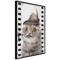 Plakaty - Plakat - Przebrany kot (rozmiar 40x60, wykończenie Rama złota z passe-partout) - miniaturka - grafika 1