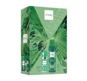 Zestawy perfum damskich - C-THRU LUMINOUS EMERALD WODA TOALETOWA SPRAY 30ML + DEZODORANT 150ML - miniaturka - grafika 1