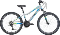 Rowery - Genesis MX Boy 24 cale Szary 2023 - miniaturka - grafika 1