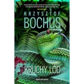 Kryminały - Kruchy lód - miniaturka - grafika 1