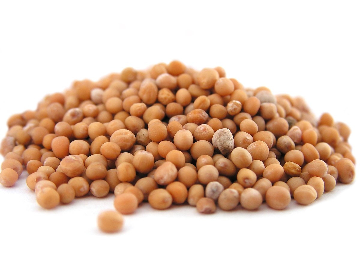 GORCZYCA BIAŁA ziarno 1 kg - Aromatika