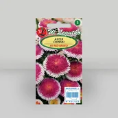 Nasiona i cebule - Aster chiński Liliput Hi no Maru Czerwony 0,3g - Nasiona - W. Legutko - miniaturka - grafika 1