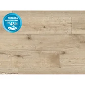 Panele podłogowe - Classen Panel podłogowy dąb Aragon 8 mm AC4 - miniaturka - grafika 1