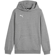 Odzież sportowa dziecięca - Bluza Z Kapturem Dziecięca/dziecięca Team Goal Casual - miniaturka - grafika 1